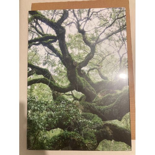 Displate Nature