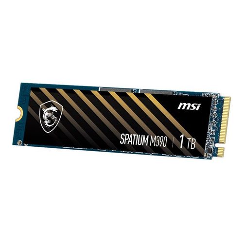 MSI SPATIUM M390 - SSD