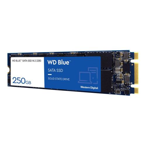 Disque SSD SATA WD Blue 3D NAND WDS250G2B0B - SSD
