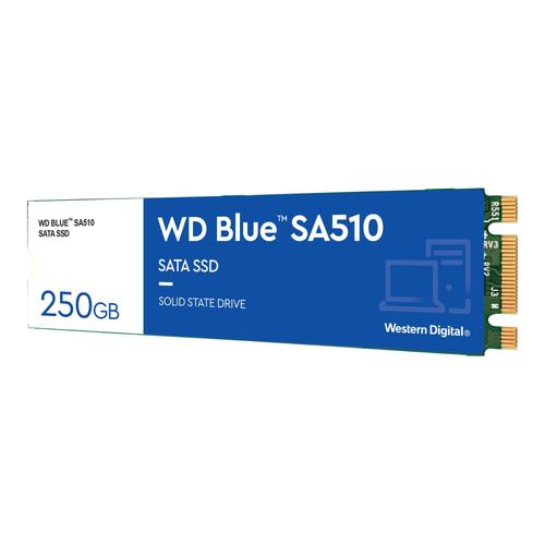 WD Blue SA510 WDS250G3B0B - SSD