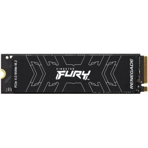 Kingston FURY Renegade - SSD