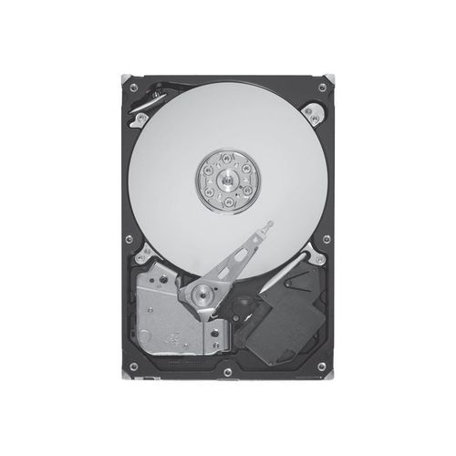 Seagate Enterprise Performance 10K HDD ST9300605SS - Disque dur