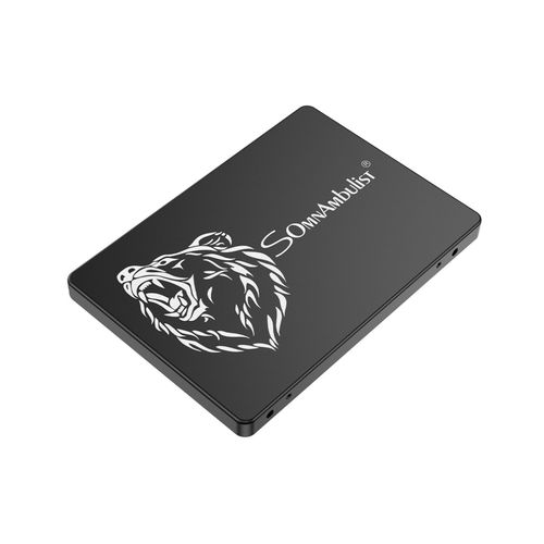 Disque Dur Interne SSD Sata 3 III Haute Vitesse 2,5