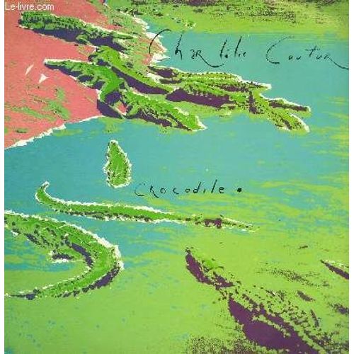 Disque Vinyle 33t Underground P.M, Des Gens Sur, Combat De Phoques, Missipi Dancing, Crocodile Point, Aboyer Le Chien, Forme Blanche, Local Rock, Do Not Disturb, Tu Es Loin - Charllie Couture