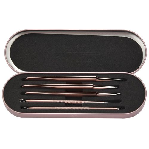 Dissolvant De Points Noirs, Kit D'outils Pour liminer Les Boutons, Outils D'extraction De Points Noirs, Outils Pour Les Points Blancs, Avec tui En Mtal Portable