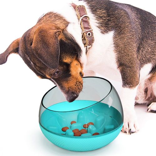 Distributeur De Capsules Pour Chiot, Bols  Alimentation Lente Pour Chien, Rcipient  Nourriture, Gobelet Pour Chiens, Fournitures Inclines Pour viter Les Chocs