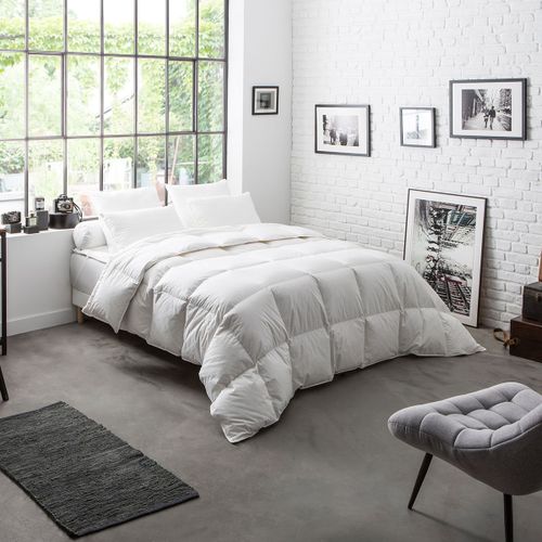 Dodo | Couette 70% Duvet De Canard Neuf Chaude - 240 X 260 Cm