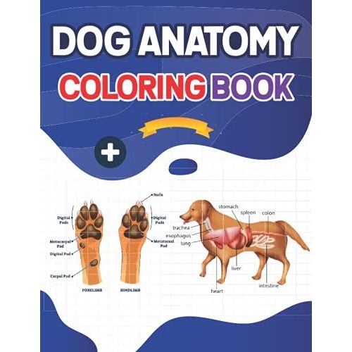 Dog Anatomy Coloring Book: This Coloring Book is Very Helpful For Learning Dog Anatomy. Unique ...