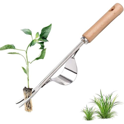 DSherbeur Manuel En Acier Inoxydable Avec Manche En Bois, Outil Utilis Pour Le DSherbage Rapide Du Sol Et Du Jardin. Fourche  Racines De DSherbage Manuel En Forme De Y.