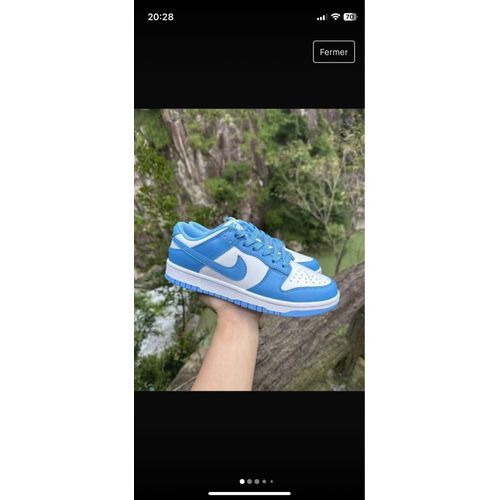 Dunk Low Bleu Ciel