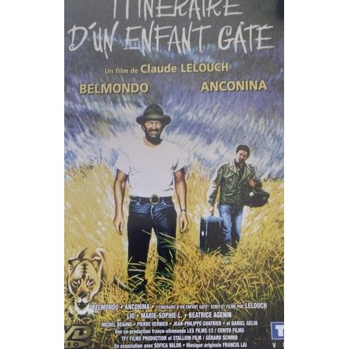 Dvd Itinraire D Un Enfant Gt 
