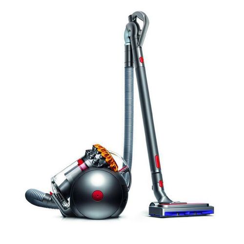 Dyson Big Ball Allergy 2 - Aspirateur traineau sans sac