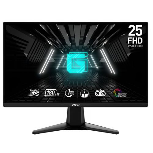 Ecran PC Gaming MSI G255F 24.5