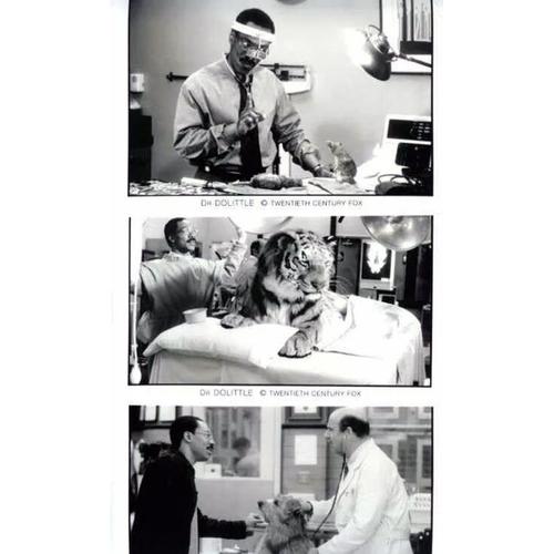 Eddie Murphy : Dr Dolittle - 3 Photos Argentic Noir Et Blanc - Format 13x18 Cm - De Betty Thomas Avec Eddie Murphy, Peter Boyle, Oliver Platt, Ossie Davis - 1998