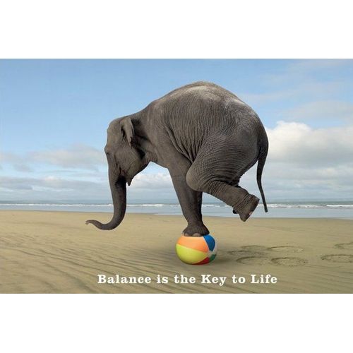 Elephant Sur Balle -  - Affiche / Poster Envoi En Tube