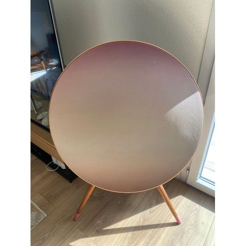 Enceinte bang olufsen a9 2890