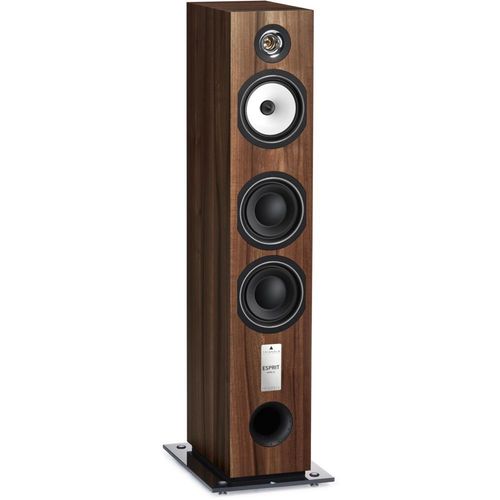 ENCEINTE COLONNE TRIANGLE ESPRIT ANTAL EZ CHTAIGNER VENDUE  L UNIT