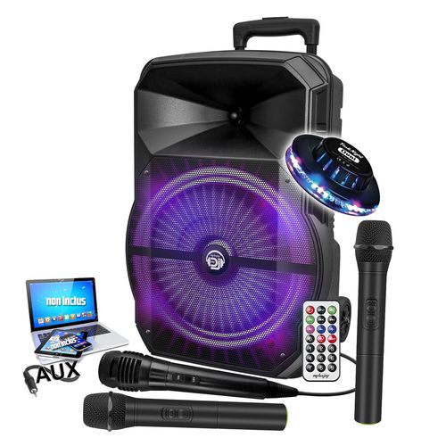 Enceinte DJ sono Karaok MYDJ MDJ-12 RVB LEDs, 600W 12