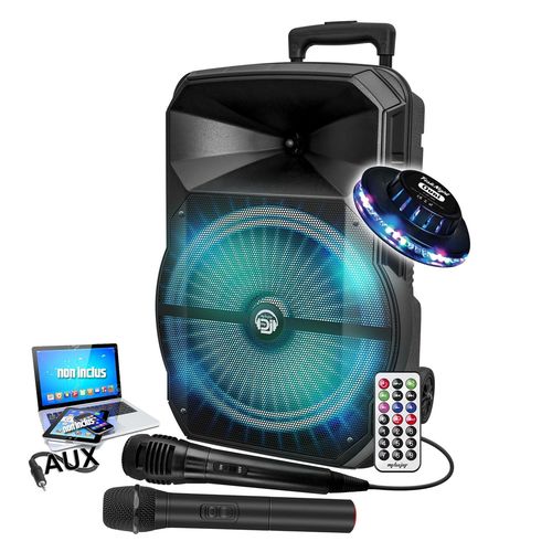 Enceinte sono Karaok MYDJ MDJ 12 RVB  LEDs, 600W 12