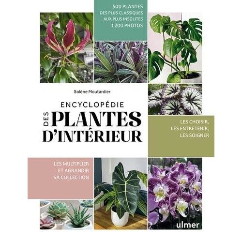 Encyclopdie Des Plantes D'intrieur    Format Beau livre 