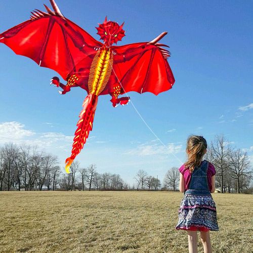 Ensemble Cerf-Volant En Tissu Color Dragon, Facile  Voler, norme Dpliant  Mmoire De Forme, Jouets Pour Parc, Plage, Plein Air, Famille D't