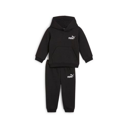 Ensemble Dcontract Minicats Bb
