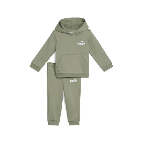 Ensemble Dcontract Minicats Bb
