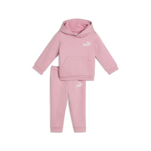 Ensemble Dcontract Minicats Bb