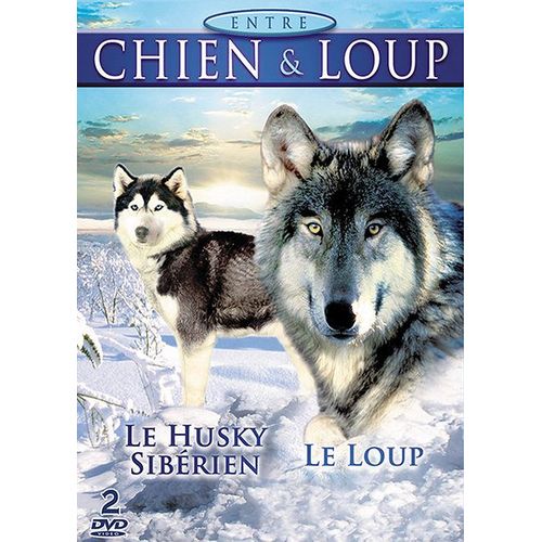 Entre Chien & Loup : Le Husky Sibrien + Le Loup