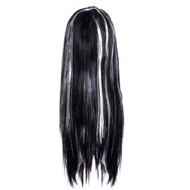 perruque deguisement