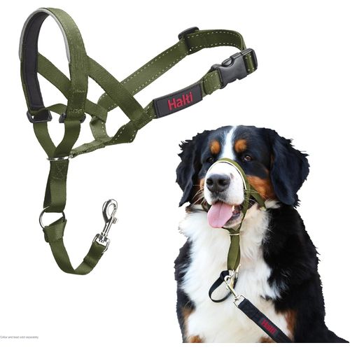 Eryi-Licol Halti - Pour Que Votre Chien Arrte De Tirer Sur Sa Laisse, Facile  Enfiler, Partie Entirement Matelasse Sur Le Museau, Colliers Anti-Traction Pour Grands Chiens (Taille 4, Vert Fort)