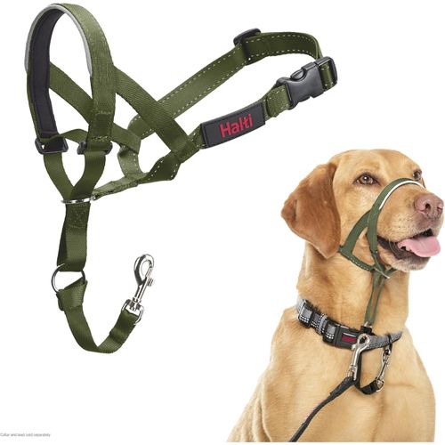 Eryi-Licol Halti - Pour Que Votre Chien Arrte De Tirer Sur Sa Laisse, Partie Entirement Matelasse Sur Le Museau, Colliers Anti-Traction Pour Chiens De Taille Moyenne (Taille 3, Vert Fort)