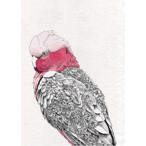 Eryi-Maxwell & Williams - Serviette De Table 100% Coton, Imprim De Cacatos Rose, Collection Marini Ferlazzo, 50 X 70 Cm - Multicolores