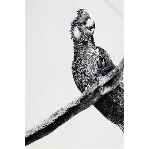 Eryi-Maxwell & Williams - Serviette De Table 100% Coton, Imprim Fleuri De Cacatos  Rectrices Blanches, Collection Marini Ferlazzo, 50 X 70 Cm - Noir Et Blanc