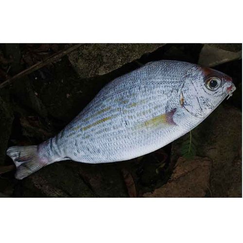tui  Crayons De Dessin De Poisson De Simulation Mignon,Bote  Crayons  Glissire Kawaii,Sac De Rangement Portable De Grande Capacit,Porte-Stylo,Sacs De Papeterie #C