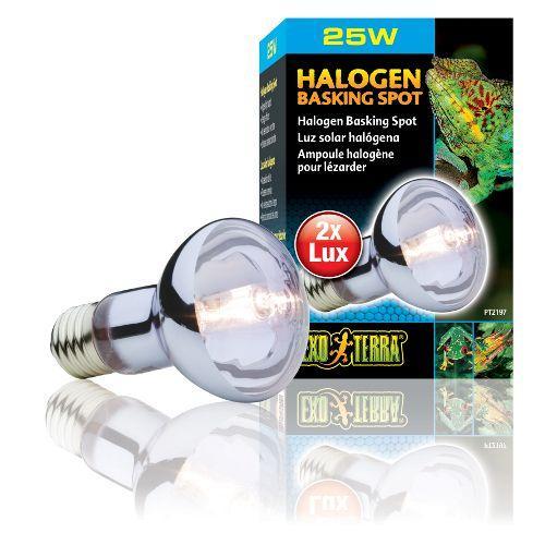 Exo Terra Sun Glo Ampoule Halogne Solaire Halogen Basking Spot 75w