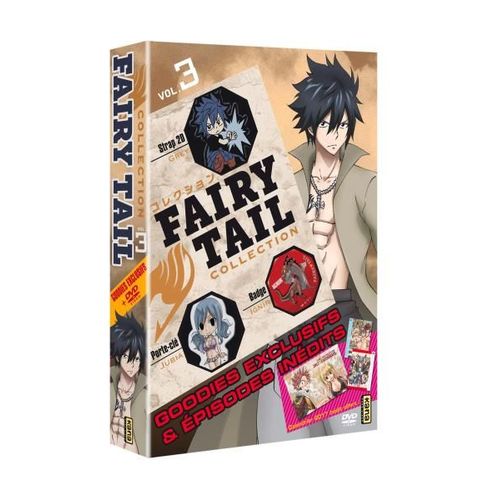 Fairy Tail - Collection - Tome 3 de Shinji Ishihira