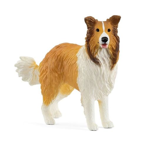 Farm World Chien Colley