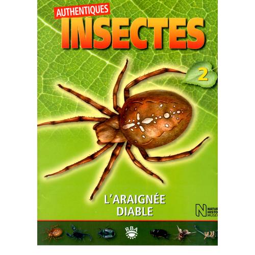 Fascicule Authentiques Insectes  2 (L'araigne Diable)