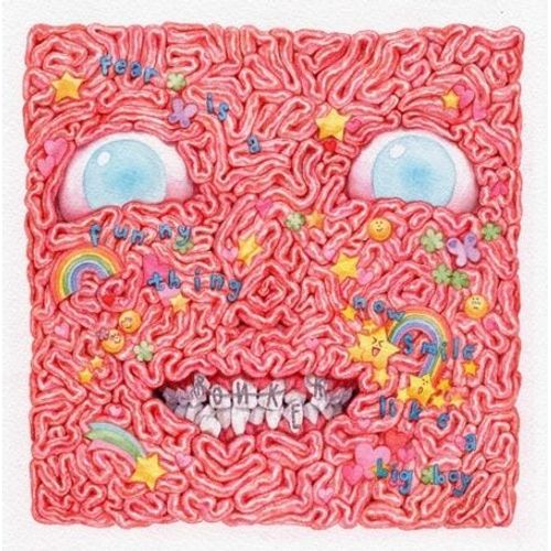 Fear Is A Funny Thing, Now Smile Like A Big Boy - Cd Album - Ronker