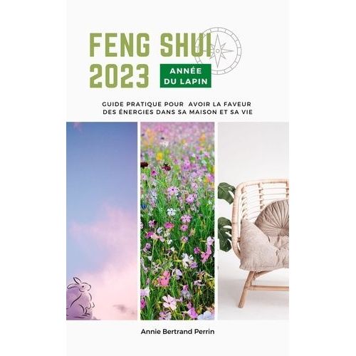 Feng Shui Anne Du Lapin - Guide Pratique Pour Avoir La Faveur Des nergies Dans Sa Maison Et Sa Vie   de Bertrand Perrin Annie  Format Beau livre 