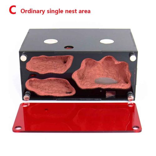Ferme De Fourmis En Acrylique Avec Abreuvoir,Contrle De La Temprature,Nid De Fourmi En Bton,Expansion Infinie,Maison D'insecte,Abreuvoir De Colonie,Kit D'antill - Type Ordinary Nest Area C