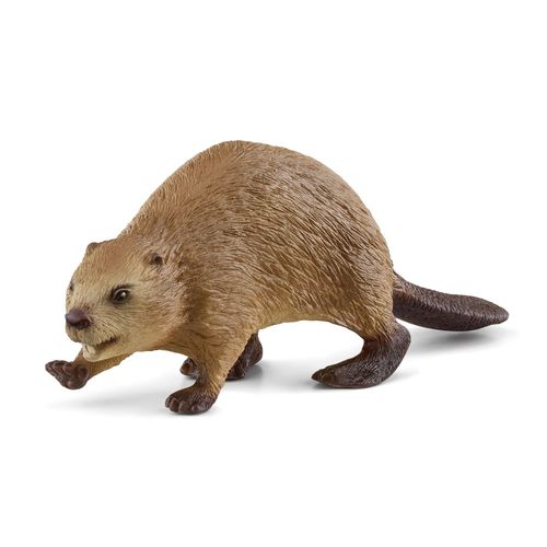 Wild Life Castor