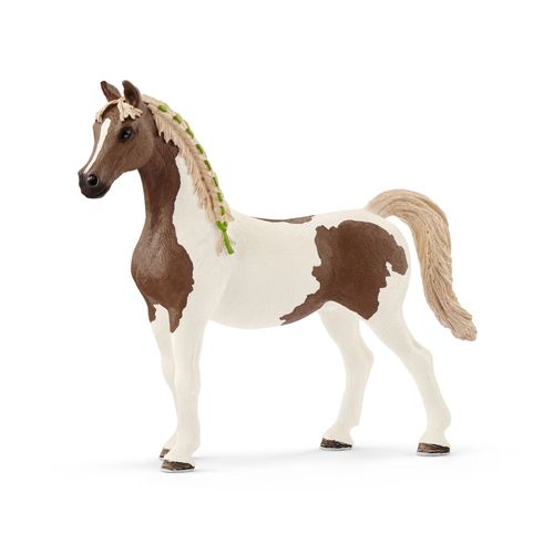 Horse Club Jument Pintabian