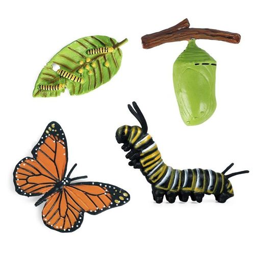 Figurine D'Un Monarque En Forme D'Insecte, Jouet ducatif En Science Biologique, Cycle De Croissance D'Un Papillon