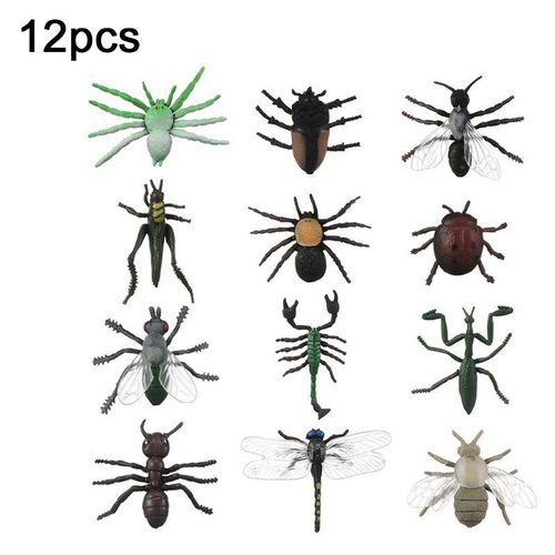 Figurine D'insecte Statique En Simulation Pour Enfant, Figurine De Papillon Raliste, Dcoration De Scne ducative, Jouet Pour Enfant, 8/12 Pices