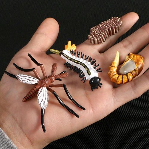 Figurine De Simulation De Petit Insecte Pour Enfants,Jouets De Croissance D'animaux,Modle De Subvention De La Vie,quation D'araigne,Grenouille,Papillon,Mignon,Bb,Dbut - Type Mosquito
