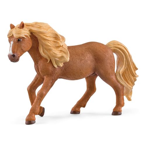 Horse Club talon Islandais
