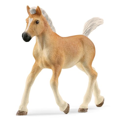 Horse Club Poulain Haflinger