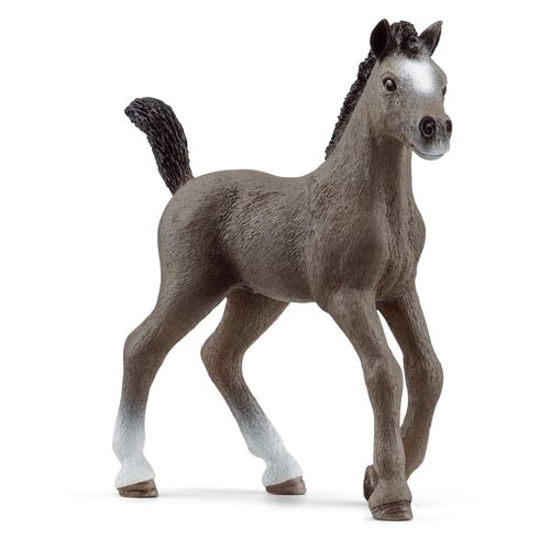 Horse Club Poulain Selle Franais